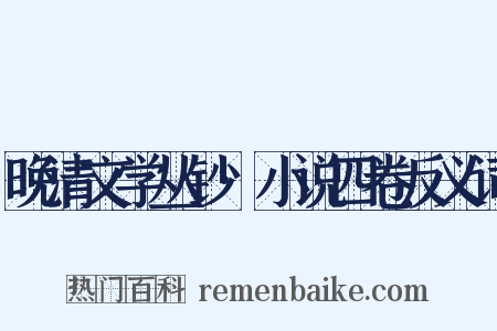 晚清文学丛钞·小说四卷反义词是什么意思的图片